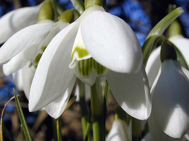 DSCN1663.JPG