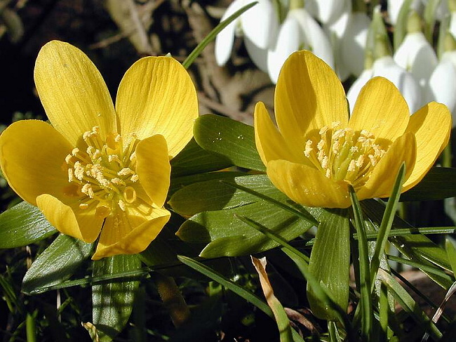 DSCN1689.JPG