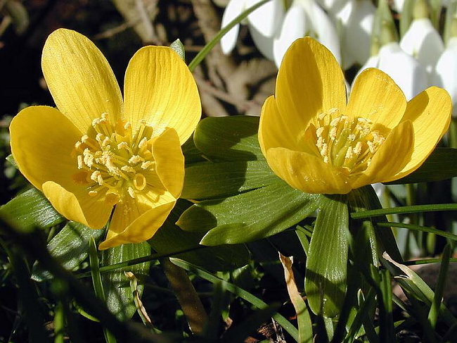 DSCN1690.JPG