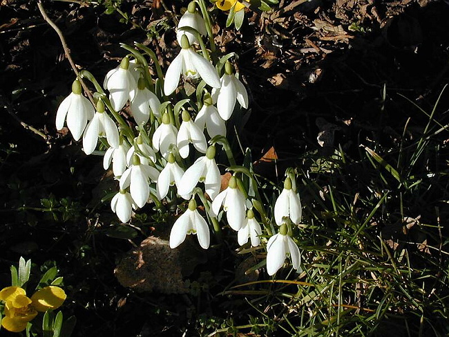 DSCN1695.JPG
