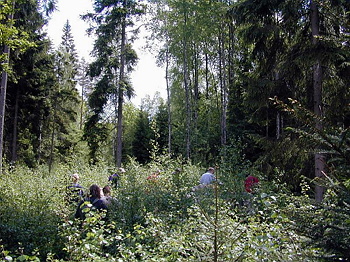 Datalogisk Sommerfest 2001