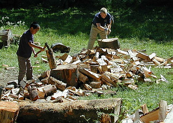 Datalogisk Sommerfest 2001