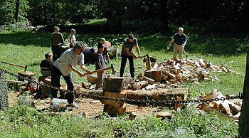 Datalogisk Sommerfest 2001
