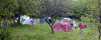 Datalogisk Sommerfest 2001