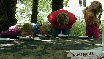 Datalogisk Sommerfest 2001