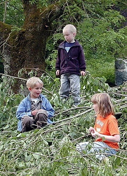 Datalogisk Sommerfest 2001