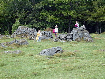 Datalogisk Sommerfest 2001
