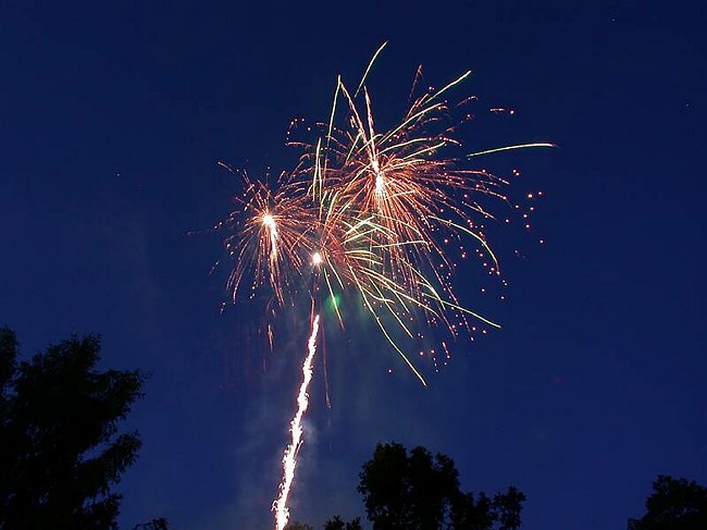 DSCN7503